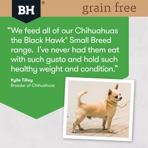 Black Hawk GF Chicken Dry Small Breed Adult Dog Food review