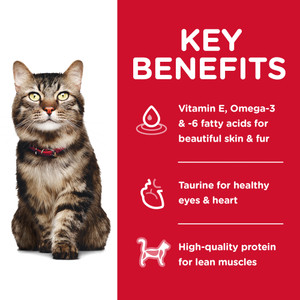 Hill's Science Diet Hairball Control 7+ Senior Adult Dry Cat Food