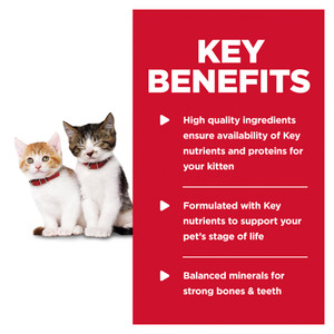 Hill's Science Diet Kitten Tender Chicken Dinner Wet Cat Food