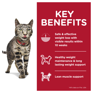 Hill's Science Diet Perfect Weight Salmon Adult Wet Food Pouches