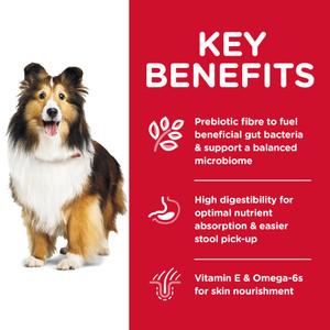 Hill's Science Diet Sensitive Stomach & Skin Adult Dry Dog Food