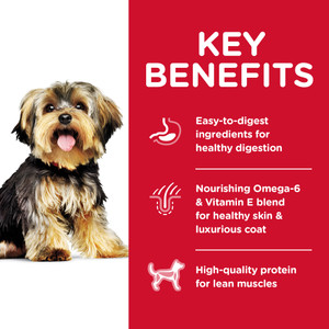 Hill's Science Diet Small Paws Chicken Adult Dry Dog Food