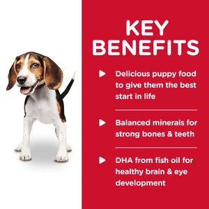 Hill's Science Diet Puppy Chicken & Barley Entree Wet Dog Food