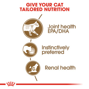 Royal Canin Ageing 12+ in Gravy Wet Cat Food Pouches
