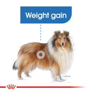 Royal Canin Maxi Lightweight Care Dry Dog Food