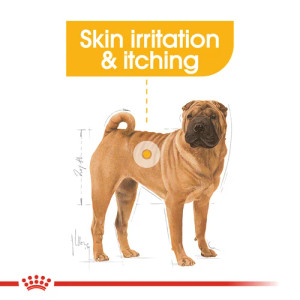 Royal Canin Medium Dermacomfort Care Adult Dry Dog Food
