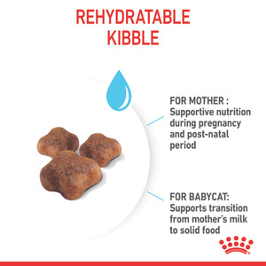 Royal Canin Mother & Babycat Dry Cat Food