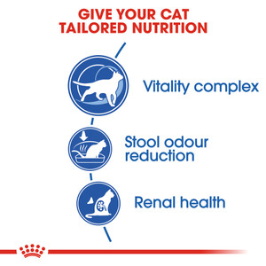 Royal Canin Indoor 7+ Adult Dry Cat Food