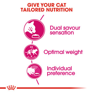 Royal Canin Exigent Savour Adult Dry Cat Food