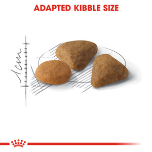 Royal Canin Exigent Savour Adult Dry Cat Food