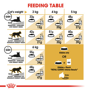 Royal Canin Siamese Adult Dry Cat Food