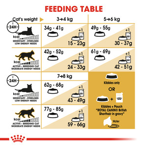 Royal Canin British Shorthair Adult Dry Cat Food