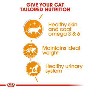 Royal Canin Intense Beauty in Gravy Wet Cat Food Pouches