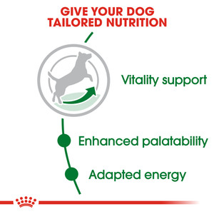 Royal Canin Mini Adult 8+ Adult Dry Dog Food