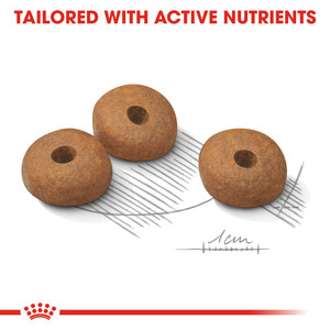 Royal Canin Mini Lightweight Care Dry Dog Food