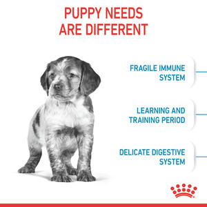 Royal Canin Medium Puppy Dry Dog Food