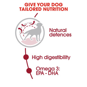Royal Canin Medium Adult Dry Dog Food