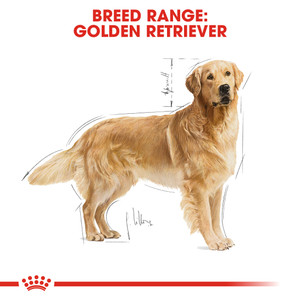 Royal Canin Golden Retriever Adult Dry Dog Food