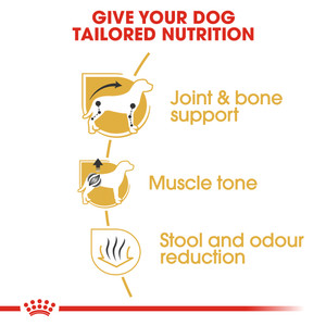 Royal Canin Dachshund Adult Dry Dog Food