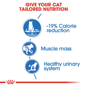 Royal Canin Ultra Light in Jelly Wet Cat Food Pouches