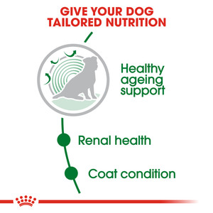 Royal Canin Mini Ageing 12+ Senior Dry Dog Food
