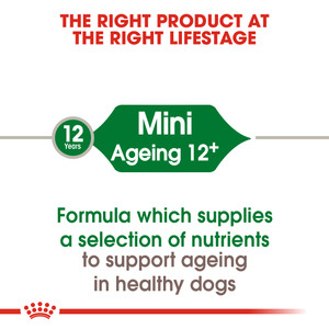 Royal Canin Mini Ageing 12+ Senior Dry Dog Food