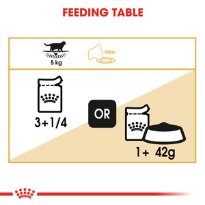 Royal Canin British Shorthair Wet Cat Food Pouches