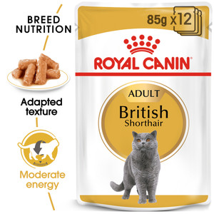 Royal Canin British Shorthair Wet Cat Food Pouches