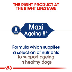 Royal Canin Maxi Ageing 8+ Senior Dry Dog Food