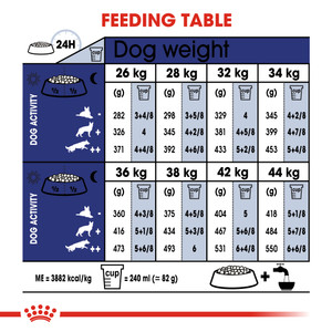 Royal Canin Maxi Ageing 8+ Senior Dry Dog Food