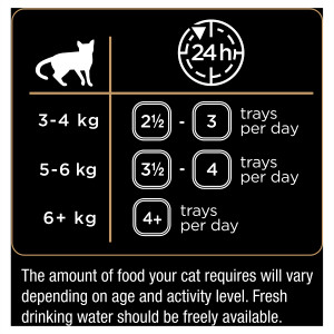 Dine Saucy Morsels With Salmon Adult Wet Cat Food