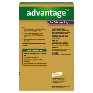 Advantage For Large Cats Purple