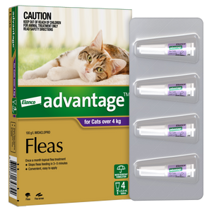 Advantage For Large Cats Purple