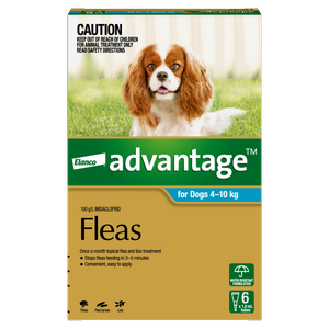 Advantage For Medium Dogs Aqua