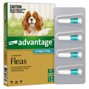 Advantage For Medium Dogs Aqua