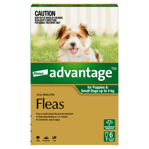 Advantage For Small Dogs and Puppies Green