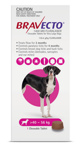 Bravecto Flea & Tick Chew For Extra Large Dogs Pink front