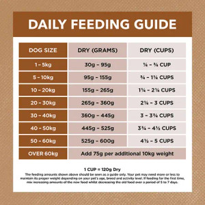Ivory Coat Dry Dog Food Lamb & Kangaroo