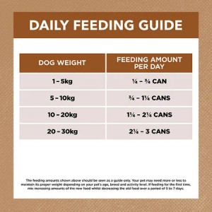 Ivory Coat Wet Dog Food Lamb And Kangaroo Stew
