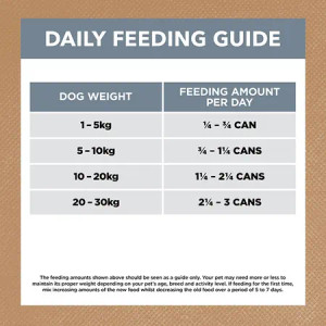 Ivory Coat Wet Dog Food Lamb And Sardine Stew