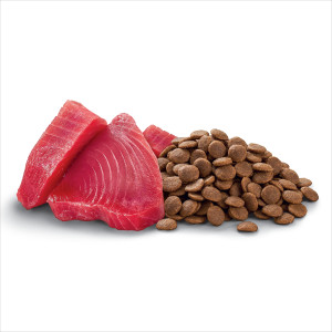Optimum Adult Dry Cat Food With Ocean Fish