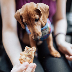 WAG Chicken Breast Dog Treats