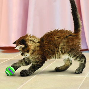 KONG Tennis Balls With Bells Cat Toy