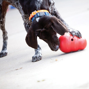 KONG Wobbler Dog Toy