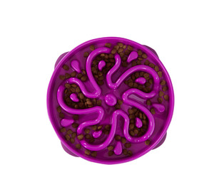 Outward Hound Fun Feeder Slow Feed Dog Bowl Purple