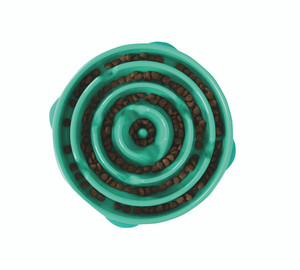 Outward Hound Fun Feeder Slow Feed Dog Bowl Teal