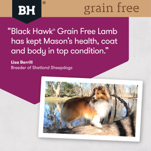 Black Hawk Grain Free Lamb Dry Adult Dog Food review