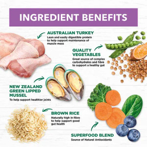 Ivory Coat Dry Puppy Food Large Breed Turkey and Brown Rice