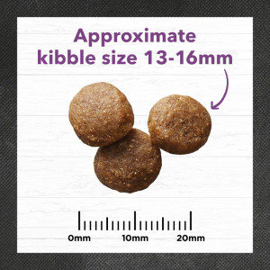 Ivory Coat Dry Dog Food Large Breed Turkey and Brown Rice