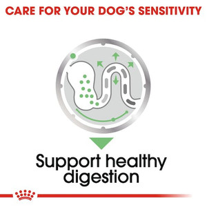 Royal Canin Digestive Care Loaf Wet Dog Food